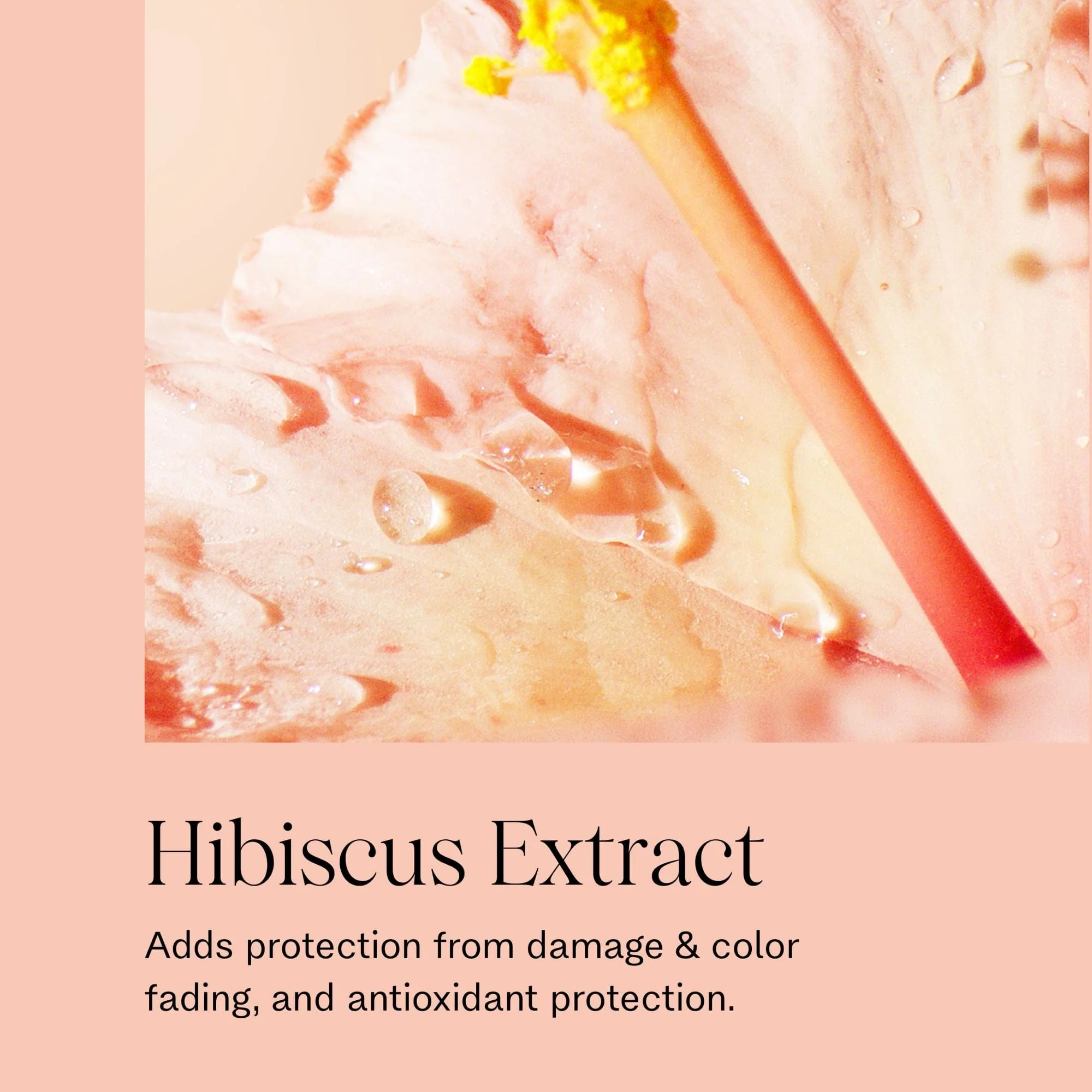 Complete Nourishing Shine Drops - Image 12