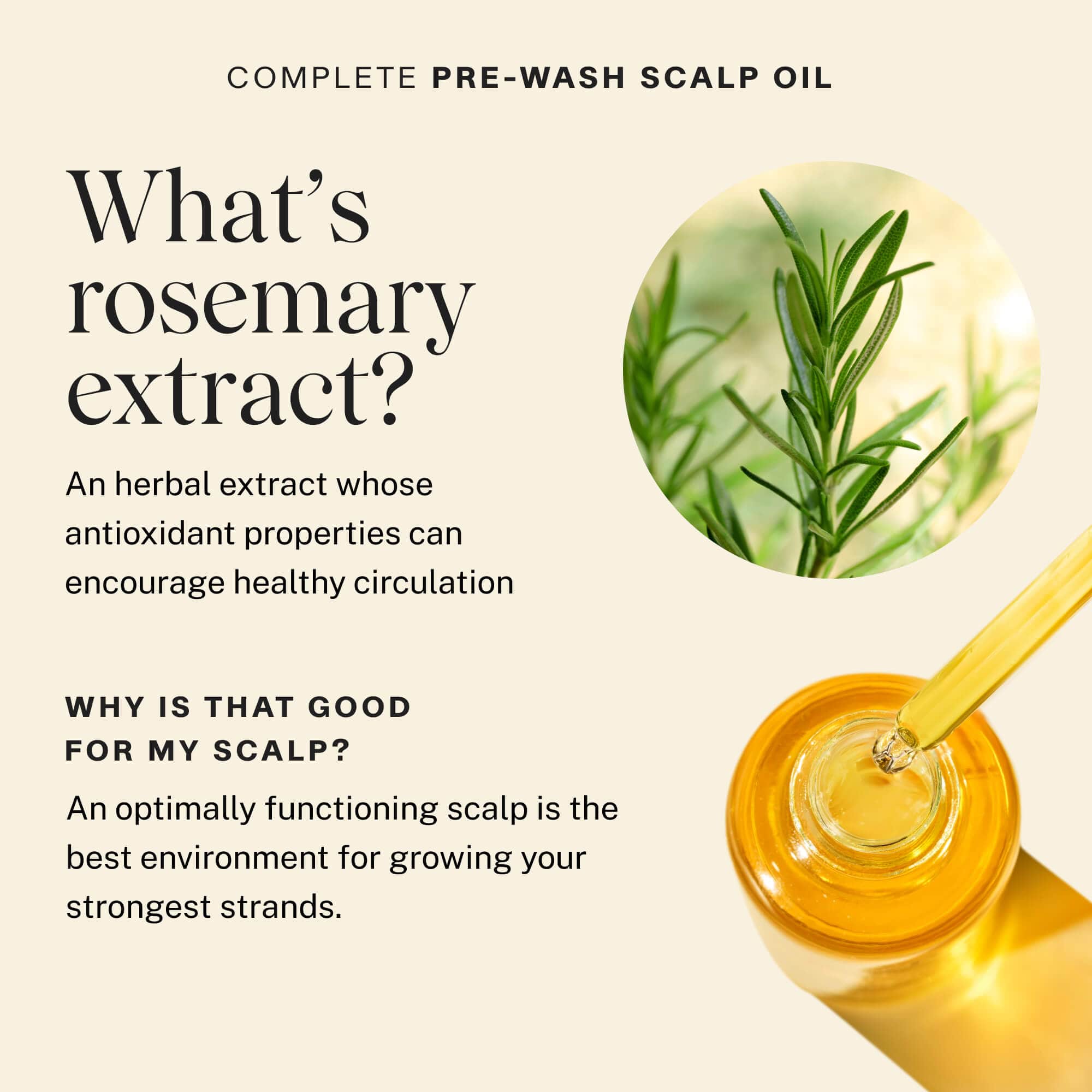 Complete Pre-Wash Scalp Oil Travel - Image 10