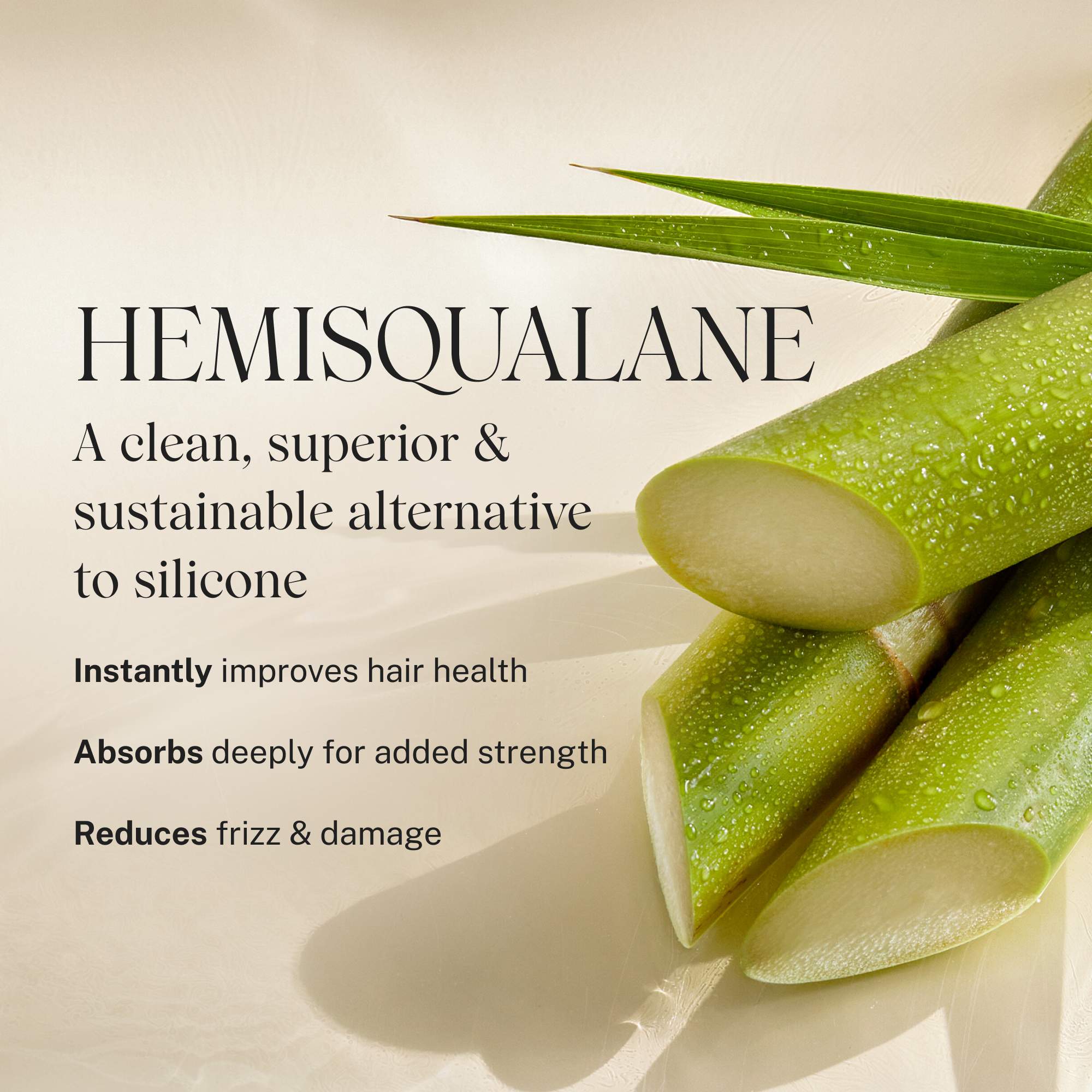 Embody Volumizing Shampoo - Image 8