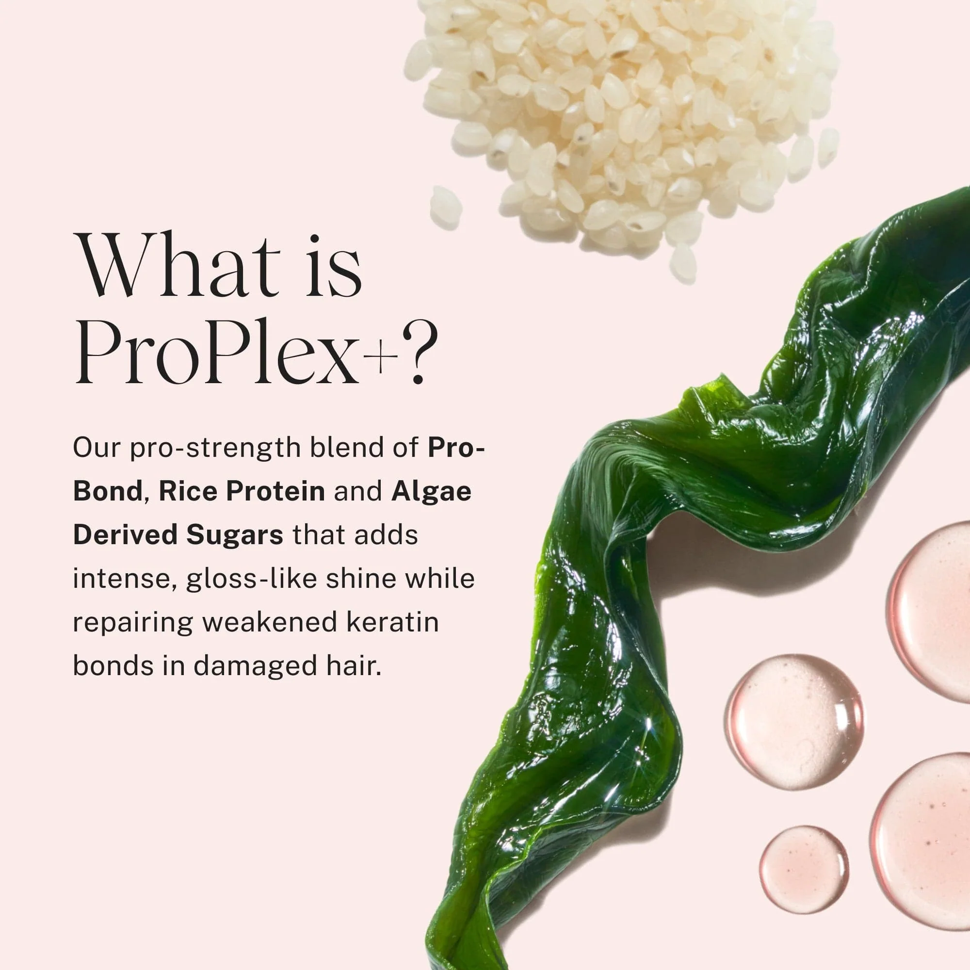 Repair & Shine Essentials Trio - Image 8